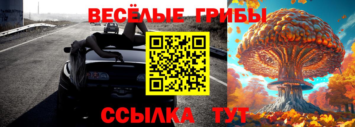 Псилоцибиновые грибы мухоморы Спасск-Дальний