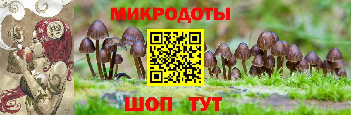 Спасск-Дальний  Галлюциногенные грибы Magic Shrooms  Вход с VPN 